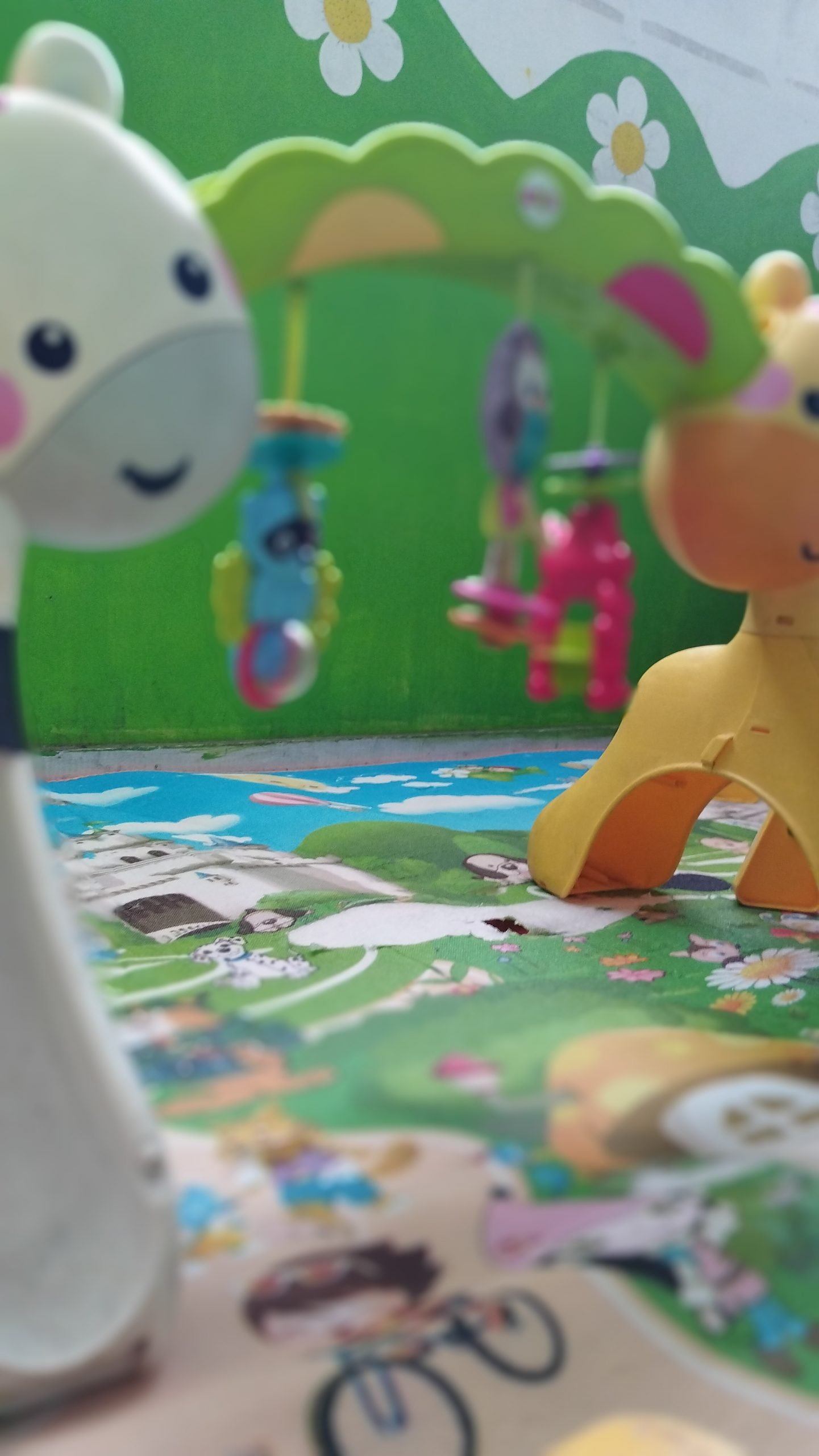 mivalledelossuenos-sedes-jardin-infantil-sur-cali-gimnacio